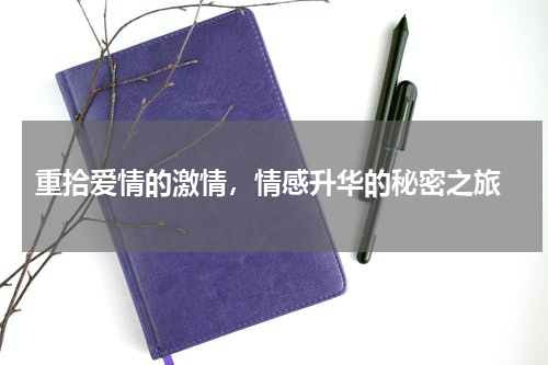  重拾爱情的激情，情感升华的秘密之旅