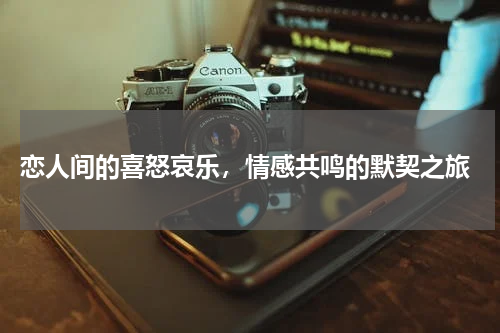  恋人间的喜怒哀乐，情感共鸣的默契之旅