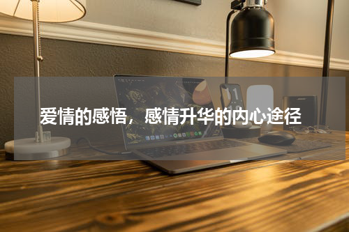  爱情的感悟，感情升华的内心途径
