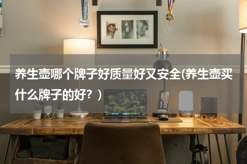 养生壶哪个牌子好质量好又安全(养生壶买什么牌子的好？)