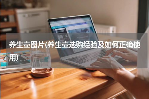 养生壶图片(养生壶选购经验及如何正确使用)