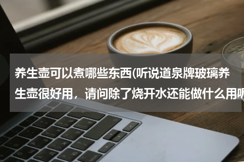 养生壶可以煮哪些东西(听说道泉牌玻璃养生壶很好用，请问除了烧开水还能做什么用呢？)