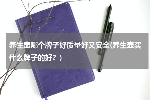 养生壶哪个牌子好质量好又安全(养生壶买什么牌子的好？)