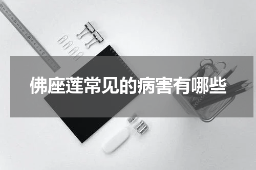 佛座莲常见的病害有哪些