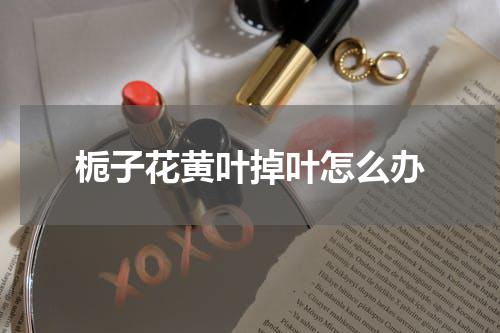 栀子花黄叶掉叶怎么办