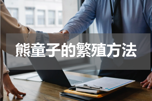 熊童子的繁殖方法