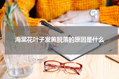海棠花叶子发黄脱落的原因是什么