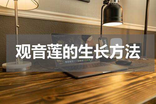 观音莲的生长方法