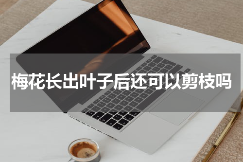 梅花长出叶子后还可以剪枝吗