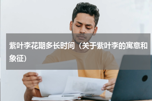 紫叶李花期多长时间（关于紫叶李的寓意和象征）
