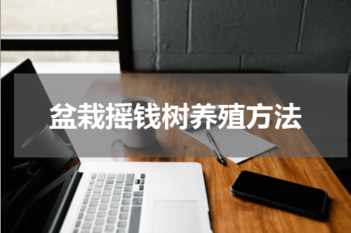 盆栽摇钱树养殖方法