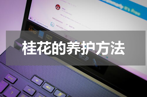 桂花的养护方法