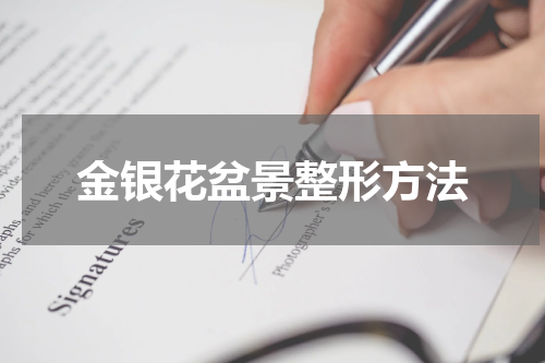 金银花盆景整形方法