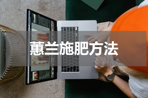 蕙兰施肥方法