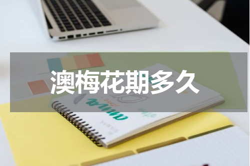 澳梅花期多久