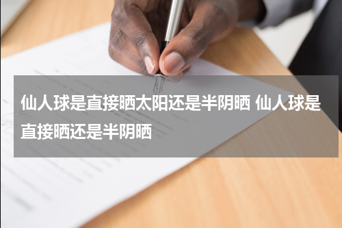 仙人球是直接晒太阳还是半阴晒 仙人球是直接晒还是半阴晒