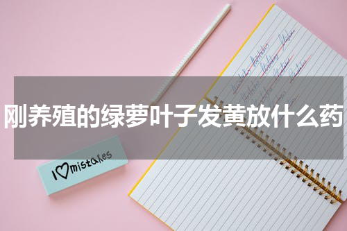 刚养殖的绿萝叶子发黄放什么药