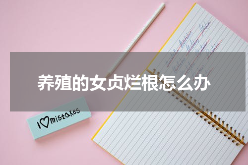 养殖的女贞烂根怎么办