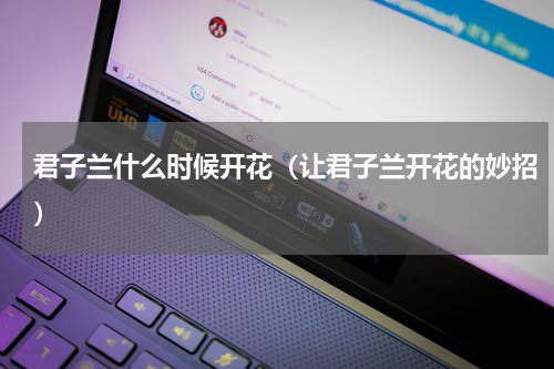 君子兰什么时候开花（让君子兰开花的妙招）