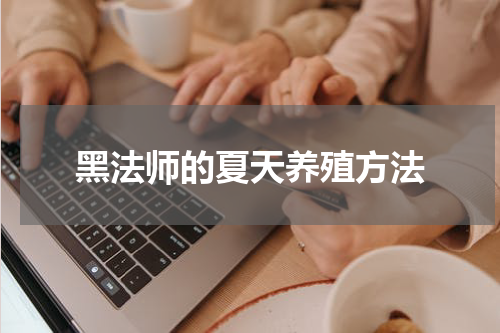 黑法师的夏天养殖方法