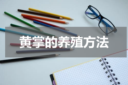 黄掌的养殖方法