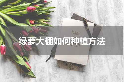绿萝大棚如何种植方法