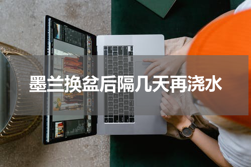 墨兰换盆后隔几天再浇水
