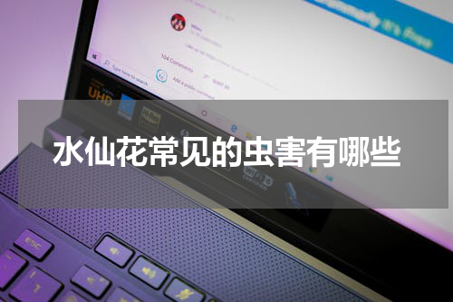 水仙花常见的虫害有哪些