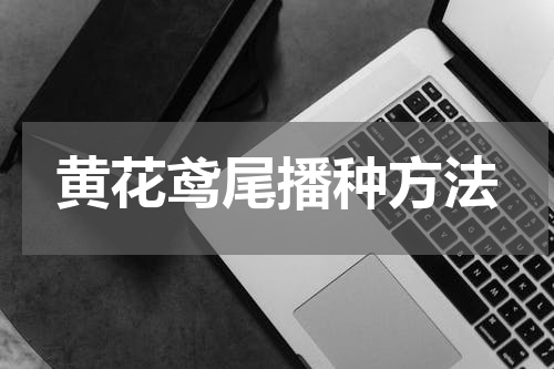 黄花鸢尾播种方法