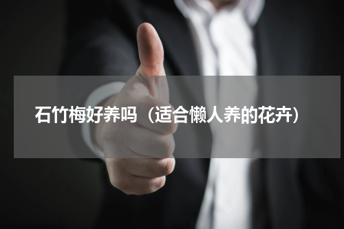 石竹梅好养吗（适合懒人养的花卉）