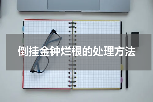 倒挂金钟烂根的处理方法