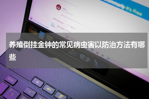 养殖倒挂金钟的常见病虫害以防治方法有哪些