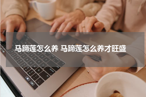 马蹄莲怎么养 马蹄莲怎么养才旺盛