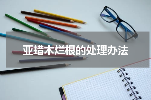 亚蜡木烂根的处理办法