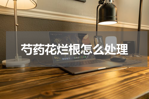 芍药花烂根怎么处理