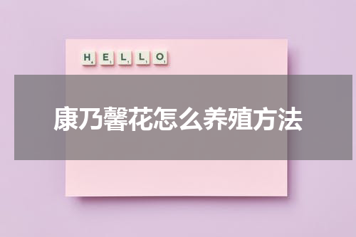 康乃馨花怎么养殖方法