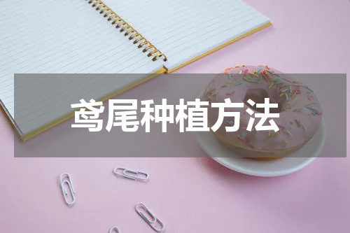 鸢尾种植方法