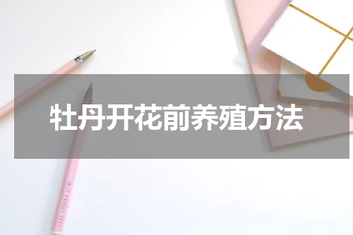 牡丹开花前养殖方法