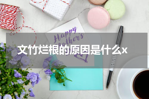 文竹烂根的原因是什么x