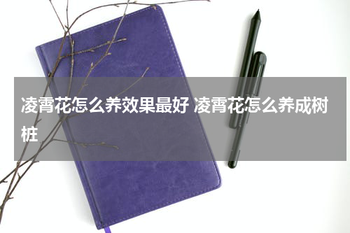 凌霄花怎么养效果最好 凌霄花怎么养成树桩