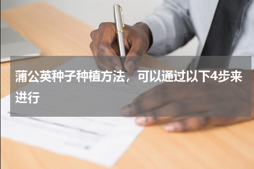 蒲公英种子种植方法，可以通过以下4步来进行