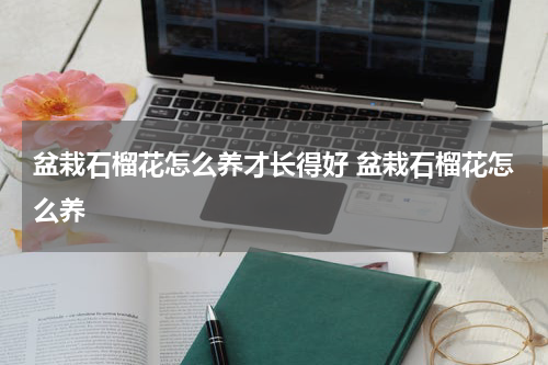 盆栽石榴花怎么养才长得好 盆栽石榴花怎么养