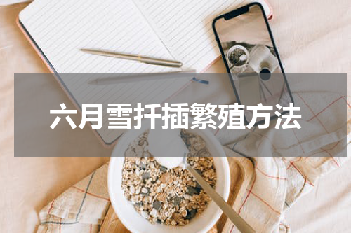 六月雪扦插繁殖方法