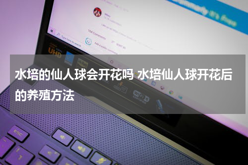 水培的仙人球会开花吗 水培仙人球开花后的养殖方法