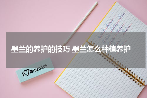 墨兰的养护的技巧 墨兰怎么种植养护