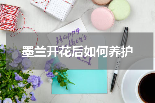 墨兰开花后如何养护