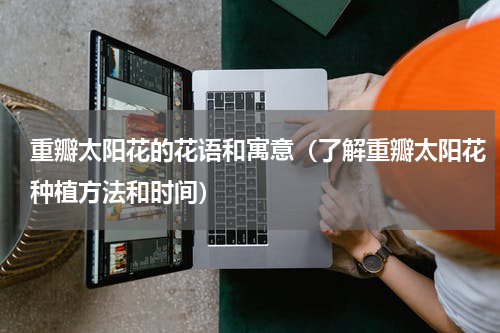 重瓣太阳花的花语和寓意（了解重瓣太阳花种植方法和时间）