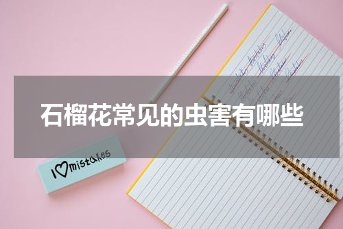 石榴花常见的虫害有哪些
