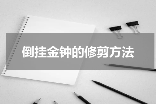 倒挂金钟的修剪方法