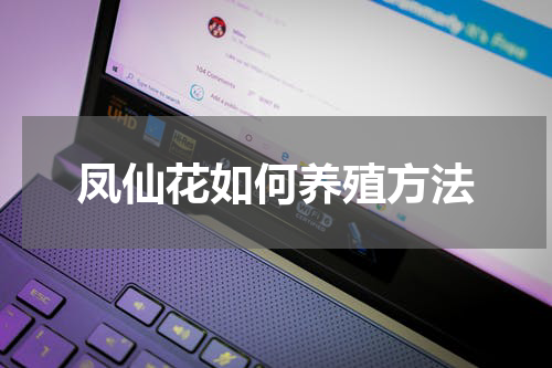 凤仙花如何养殖方法